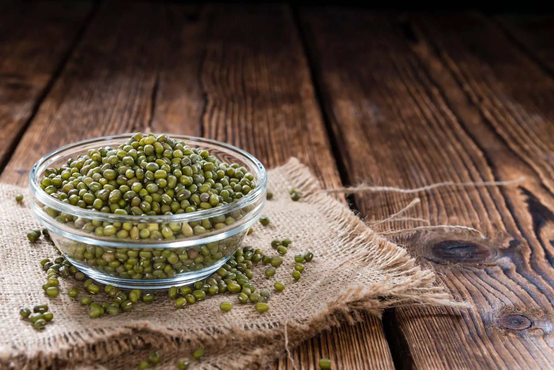 WISSENSWERTES ZUR MUNGOBOHNE